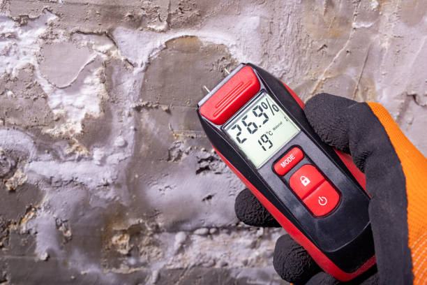 Office Mold Removal Services in Toluca, IL