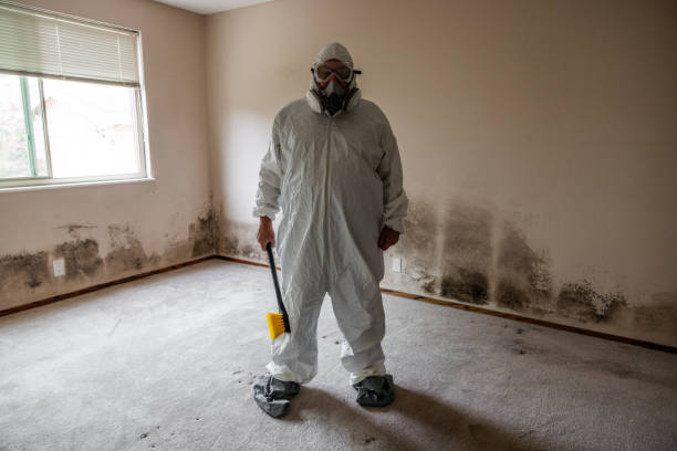 Best Crawl Space Mold Removal  in Toluca, IL